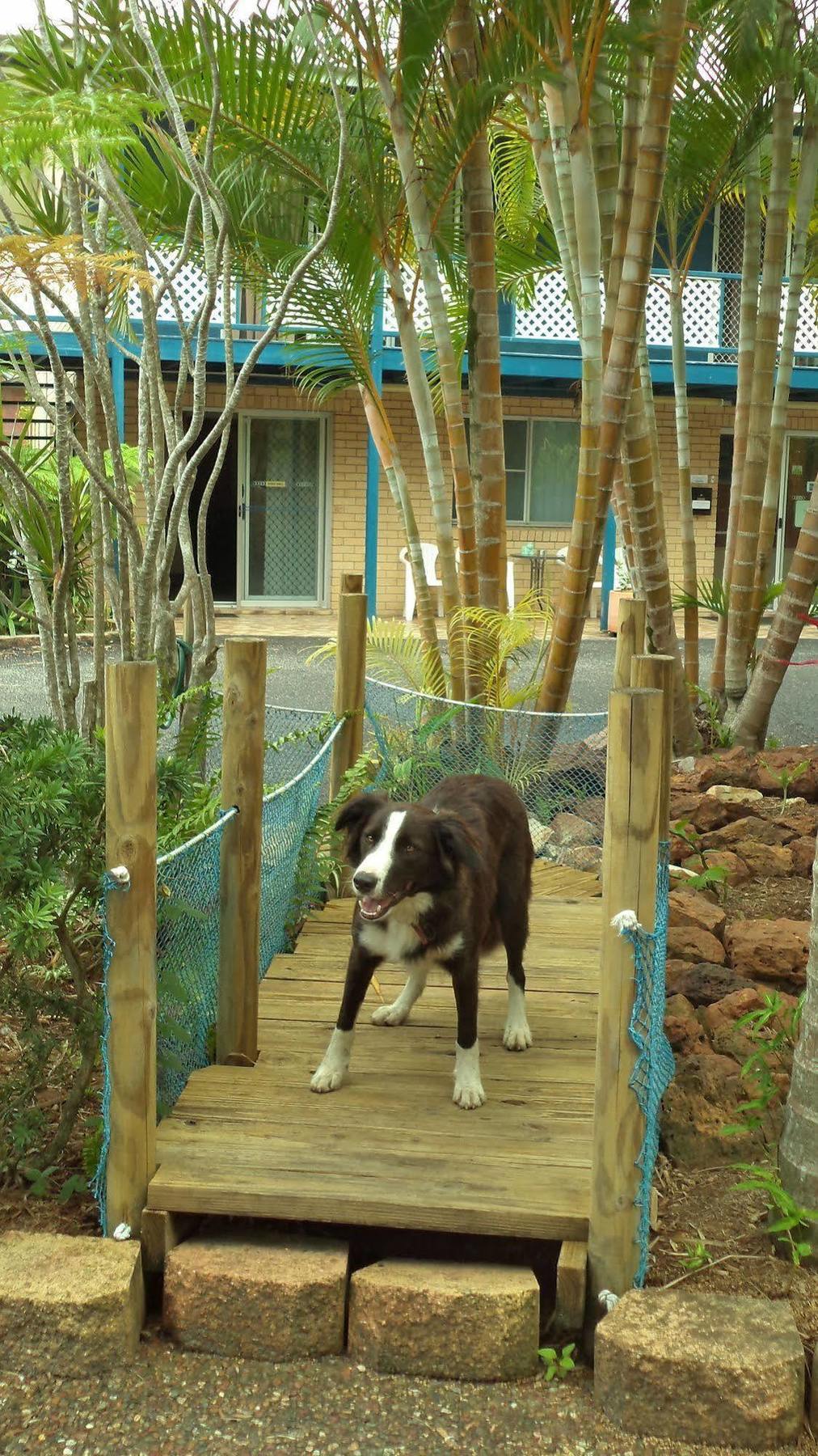 Tin Can Bay Motel Εξωτερικό φωτογραφία